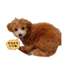 ぺぽたんのすたんぷ。（個別スタンプ：14）