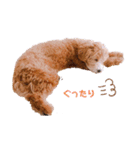 ぺぽたんのすたんぷ。（個別スタンプ：18）