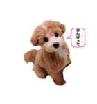 ぺぽたんのすたんぷ。（個別スタンプ：23）