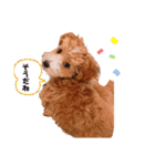 ぺぽたんのすたんぷ。（個別スタンプ：34）