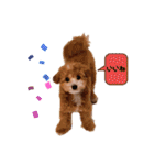 ぺぽたんのすたんぷ。（個別スタンプ：38）