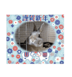 うさぎここ スタンプ☆お正月☆（個別スタンプ：3）