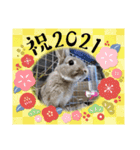 うさぎここ スタンプ☆お正月☆（個別スタンプ：4）