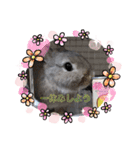 うさぎここ スタンプ☆お正月☆（個別スタンプ：7）