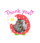 うさぎここ スタンプ☆お正月☆（個別スタンプ：8）