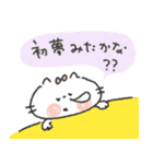 年末年始のクレヨンにゃんこ（個別スタンプ：20）