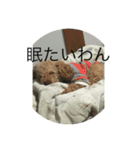 ワンワンもいるよ（個別スタンプ：1）