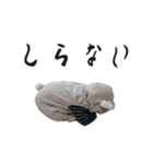NEW はるくんsticker（個別スタンプ：9）