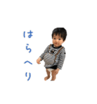 NEW はるくんsticker（個別スタンプ：37）