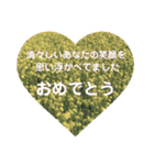 名言付き♪あいさつスタンプ（個別スタンプ：8）