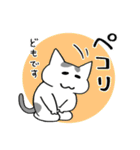 【毎日使える】ねこのほっこりLIFE（個別スタンプ：5）