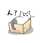 【毎日使える】ねこのほっこりLIFE（個別スタンプ：9）