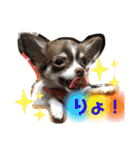 西井さんちのモフモフ犬（個別スタンプ：10）