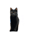 日常（ゆっぺ？もこ？）（個別スタンプ：1）