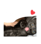 日常（ゆっぺ？もこ？）（個別スタンプ：8）