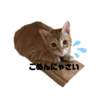 たらちゃん○（個別スタンプ：7）