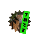 たらちゃん○（個別スタンプ：11）