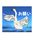 きれいな衣装を着た野鳥たち（個別スタンプ：17）