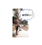 かずみな8（個別スタンプ：3）