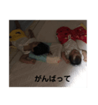 かずみな8（個別スタンプ：4）