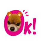 【伊東家のわんこ】（個別スタンプ：9）