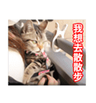 ちょりスタンプ おでかけパック(繁)（個別スタンプ：1）