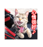 ちょりスタンプ おでかけパック(繁)（個別スタンプ：3）