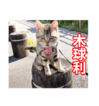 ちょりスタンプ おでかけパック(繁)（個別スタンプ：9）