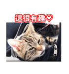 ちょりスタンプ おでかけパック(繁)（個別スタンプ：30）