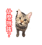 ちょりスタンプ かーえーのー♡パック(繁)（個別スタンプ：25）