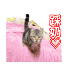 ちょりスタンプ かーえーのー♡パック(繁)（個別スタンプ：30）