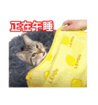 ちょりスタンプ かーえーのー♡パック(繁)（個別スタンプ：31）