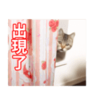 ちょりスタンプ かーえーのー♡パック(繁)（個別スタンプ：33）