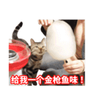 ちょりスタンプ ちょりごはんパック(簡)（個別スタンプ：13）