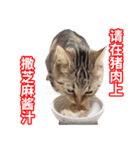 ちょりスタンプ ちょりごはんパック(簡)（個別スタンプ：33）