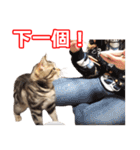 ちょりスタンプ ちょりごはんパック(繁)（個別スタンプ：29）