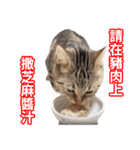 ちょりスタンプ ちょりごはんパック(繁)（個別スタンプ：33）