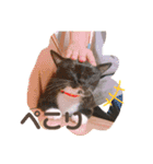 はたね家の日常（個別スタンプ：5）