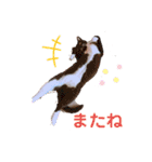 はたね家の日常（個別スタンプ：9）