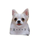 レミノ＆イヴ2（個別スタンプ：2）