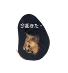レミノ＆イヴ2（個別スタンプ：10）
