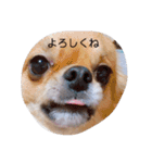 レミノ＆イヴ2（個別スタンプ：14）