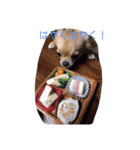 レミノ＆イヴ2（個別スタンプ：22）