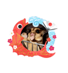 正月 フクロモモンガ（個別スタンプ：1）