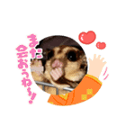 正月 フクロモモンガ（個別スタンプ：3）