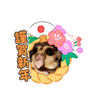 正月 フクロモモンガ（個別スタンプ：4）