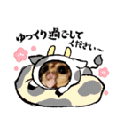 正月 フクロモモンガ（個別スタンプ：9）