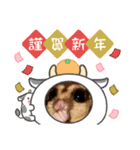 正月 フクロモモンガ（個別スタンプ：14）
