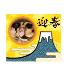 正月 フクロモモンガ（個別スタンプ：16）