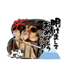 正月 フクロモモンガ（個別スタンプ：22）